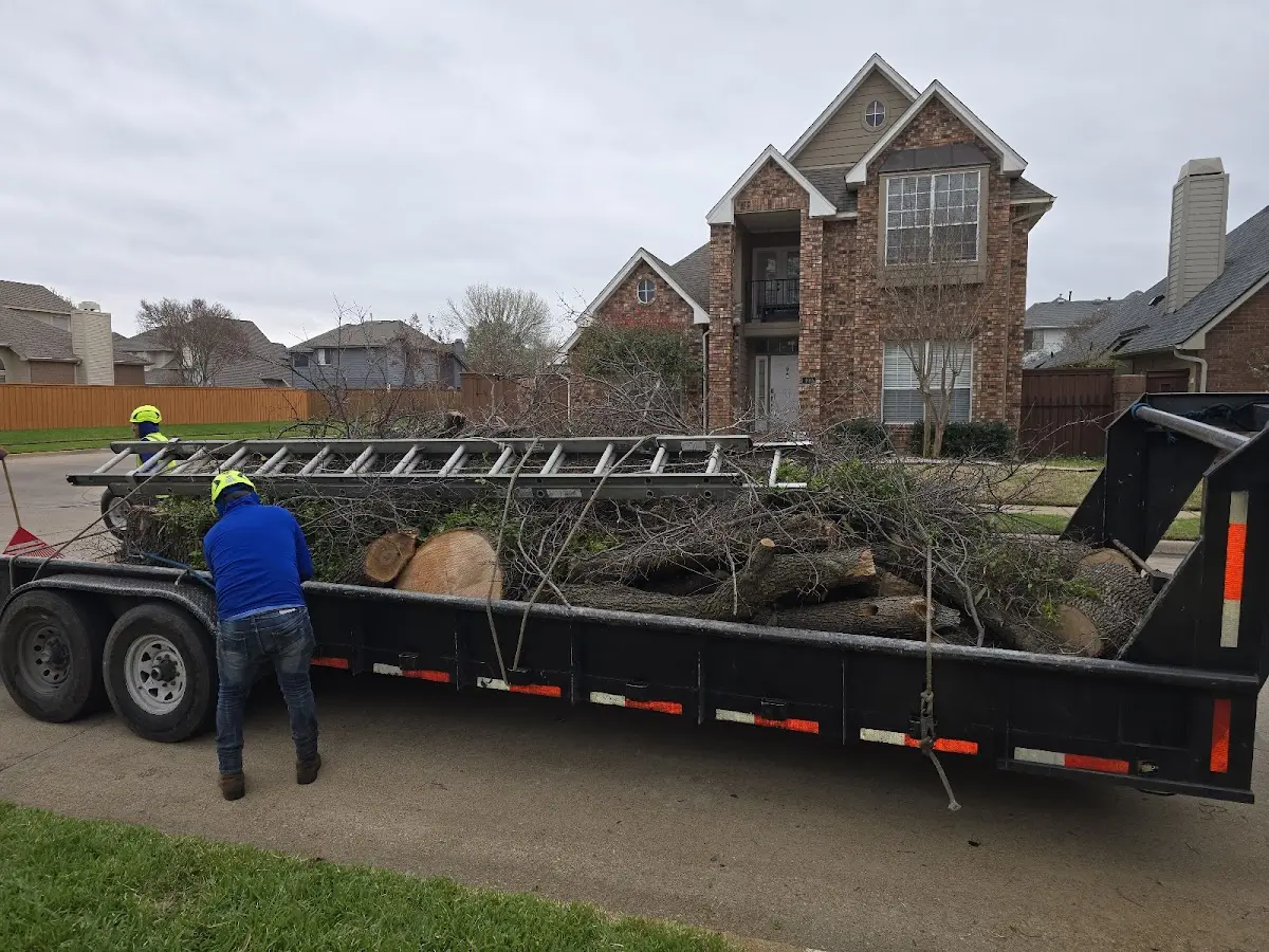 Expert Tree Fertilization with proper safety equipment in Castleberry